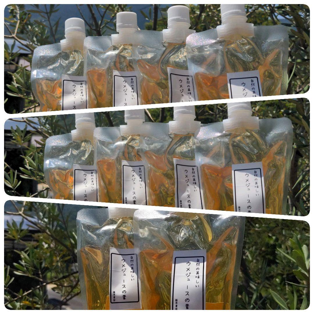 自然の美味しい梅ジュースの素（梅シロップ)x10