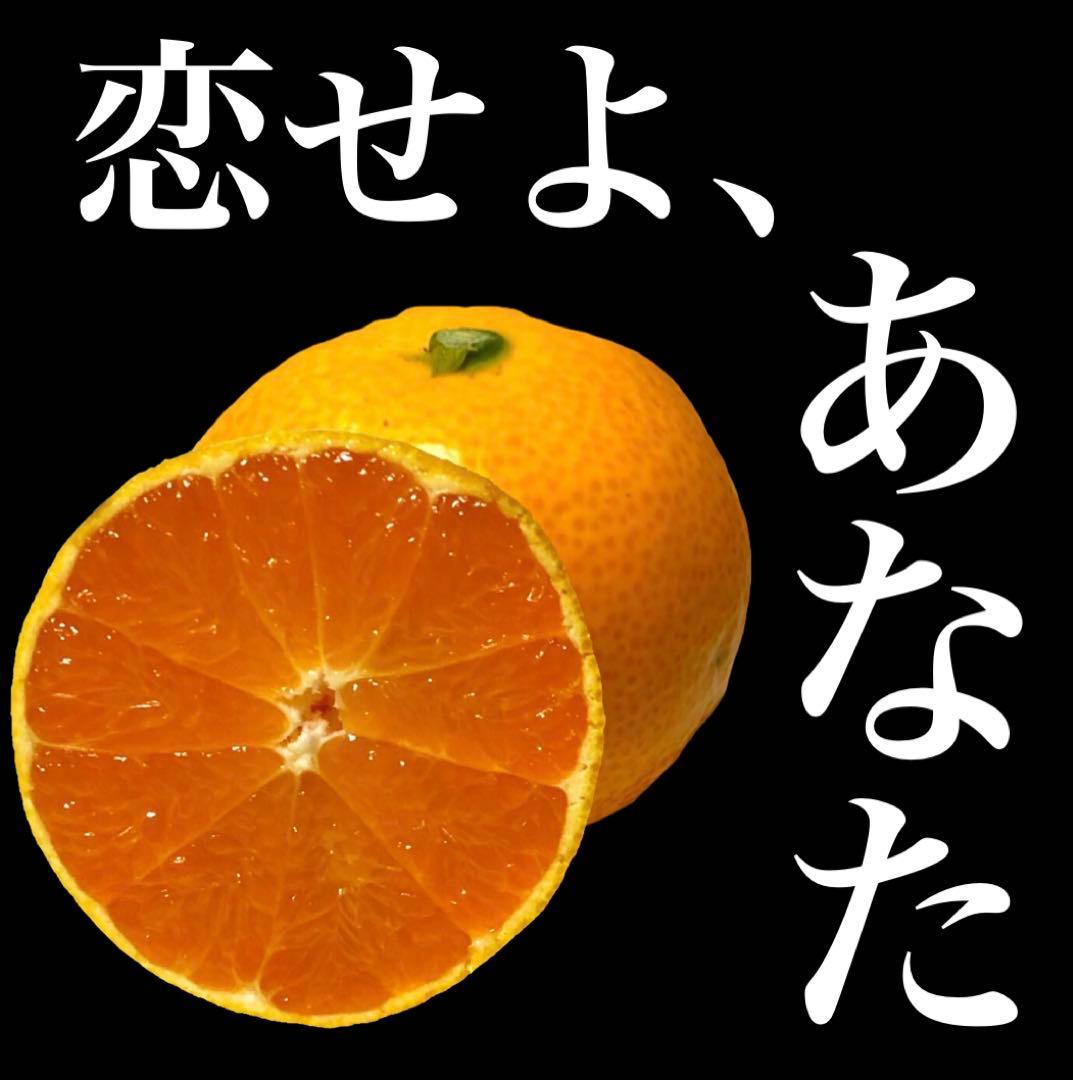 1kg ネコ母専用10