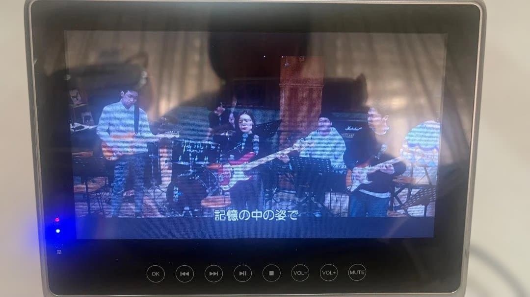 Superbe SU-B10WP 防水ブルーレイ/DVDプレーヤー　中古品