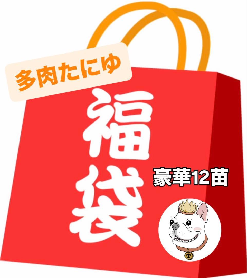 多肉たにゆ福袋　多肉植物