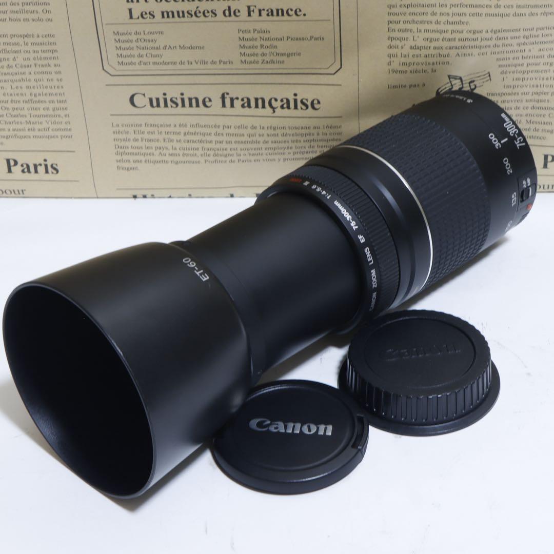 ◇超望遠&高速AF◇Canon純正 75-300mm Ⅲ型 超望遠レンズ!!◇