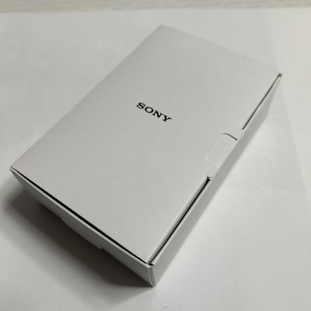 美品　付属品完備　SONYウォークマン NW-A55 16GB