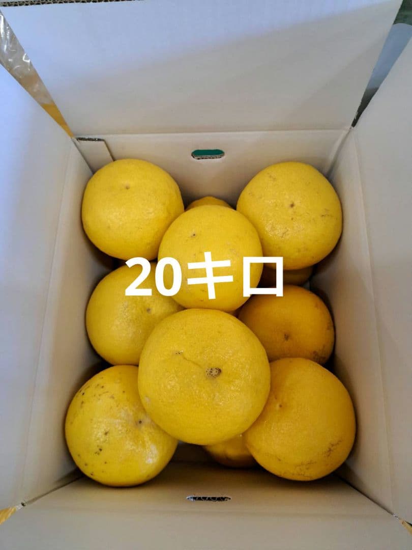 地元果物屋おすすめ高知宿毛産土佐文旦4Lサイズ20キロ家庭用大玉メルカリ便送込
