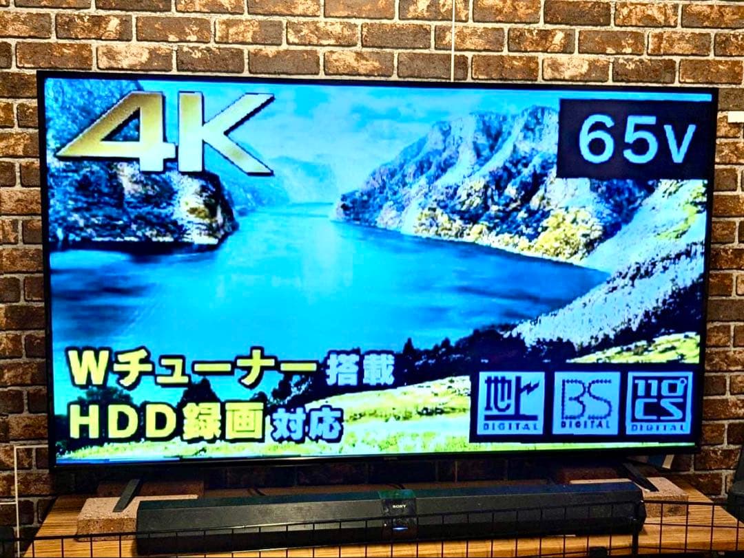 65インチ 液晶テレビ アイリスオーヤマ 2020年製