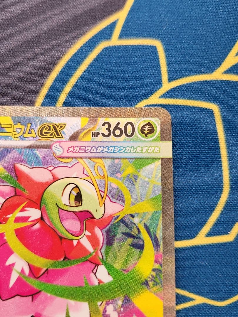 メガメガニウムex SAR仕様　761/742