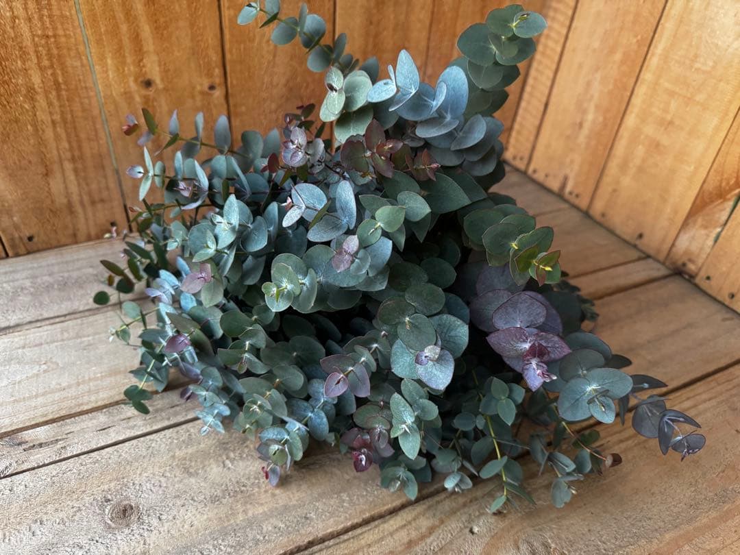 38様 リクエスト 5点 まとめ商品