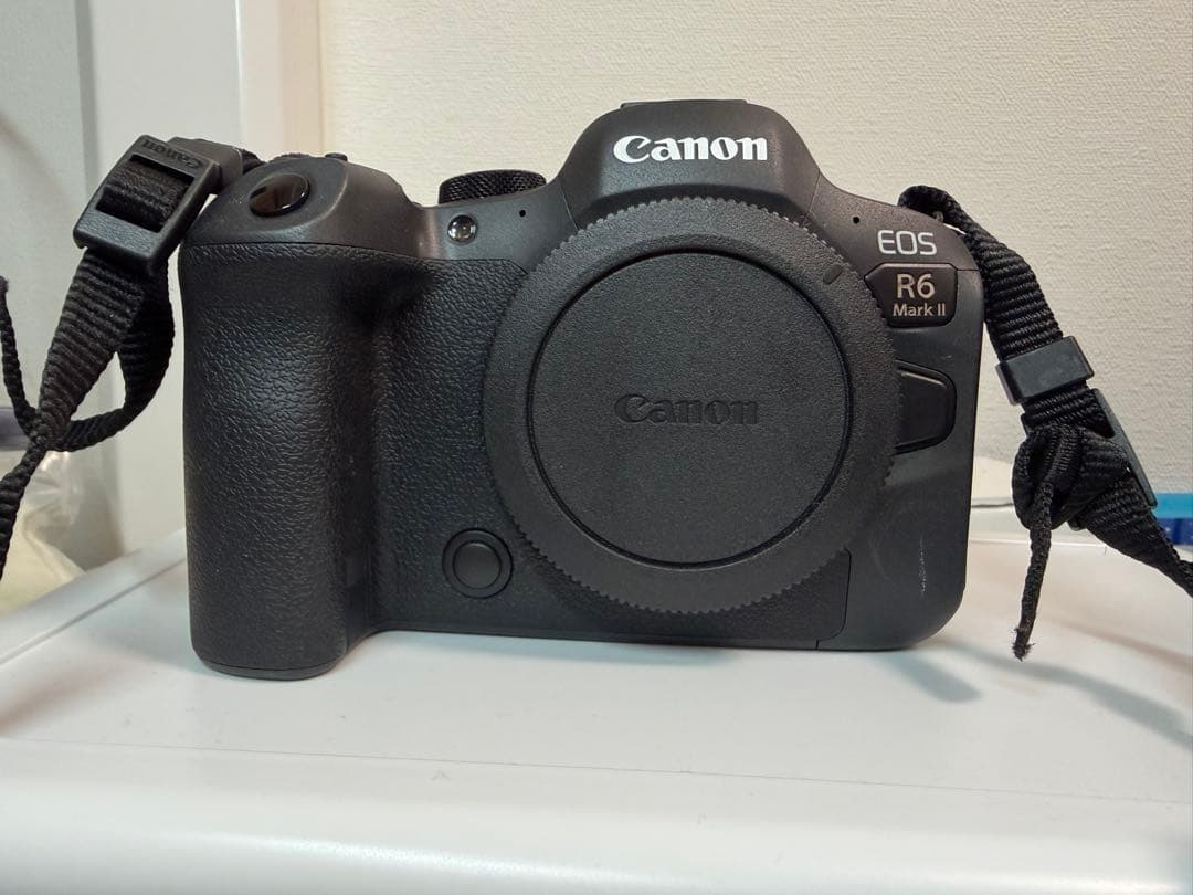 【超美品】Canon EOS R6MarkII本体　RF24-105f4LUSM