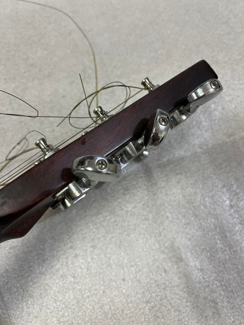 D*i様 Aria Dreadnought EST 1956 AF-65BS u