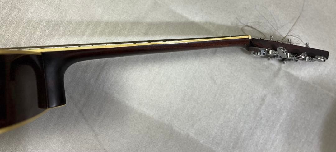 D*i様 Aria Dreadnought EST 1956 AF-65BS u