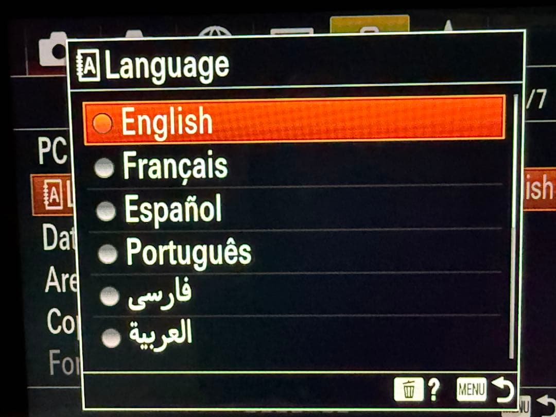 【希少・美品】SONY DSC-RX100M7 (RX100VII)海外版