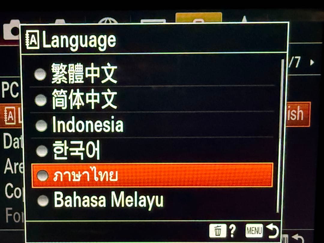 【希少・美品】SONY DSC-RX100M7 (RX100VII)海外版