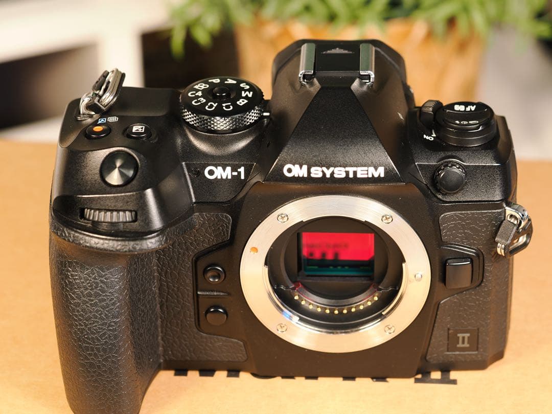 OMデジタルソリューションズ OM SYSTEM OM-1 Mark II