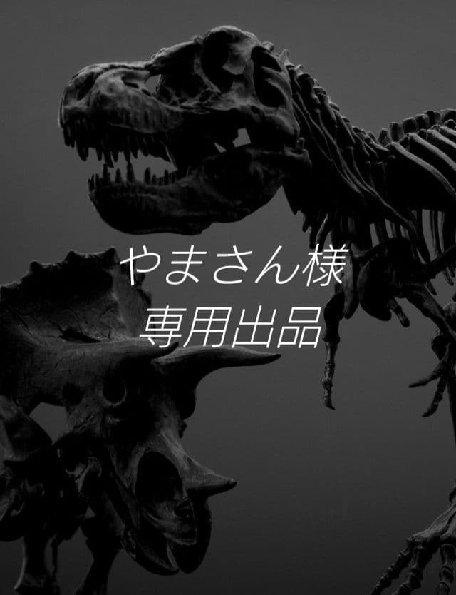【DINOWORLD】トリケラトプス 頭骨レプリカ ※箱無し