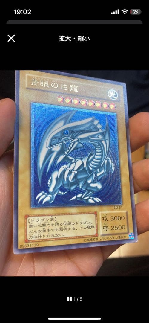 青眼の白龍 レリーフ　シーゴラス