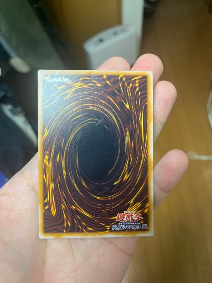 青眼の白龍 レリーフ　シーゴラス