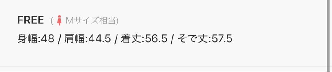 今期2025-26秋冬6（ROKU）コットンウールミラノリブタートルネックニット