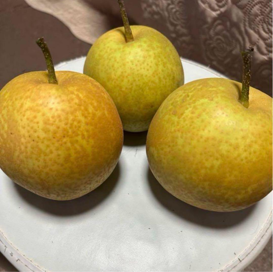 梨　甘太　10㎏