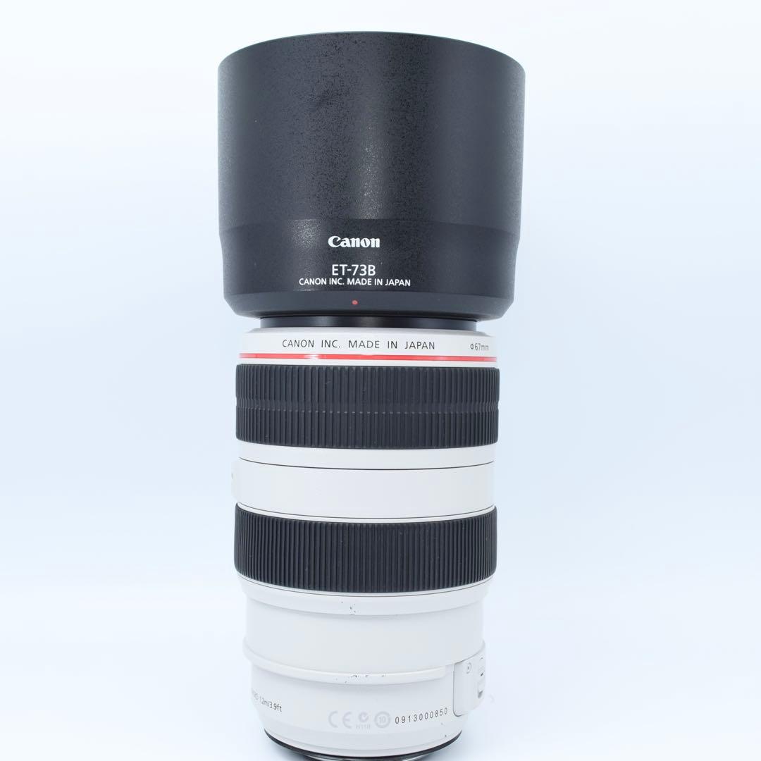 レンズ(ズーム) Canon EF 70-300mm f/4-5.6L IS USM