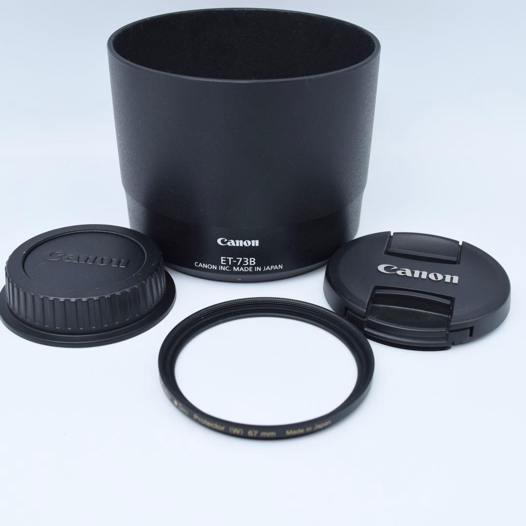 レンズ(ズーム) Canon EF 70-300mm f/4-5.6L IS USM