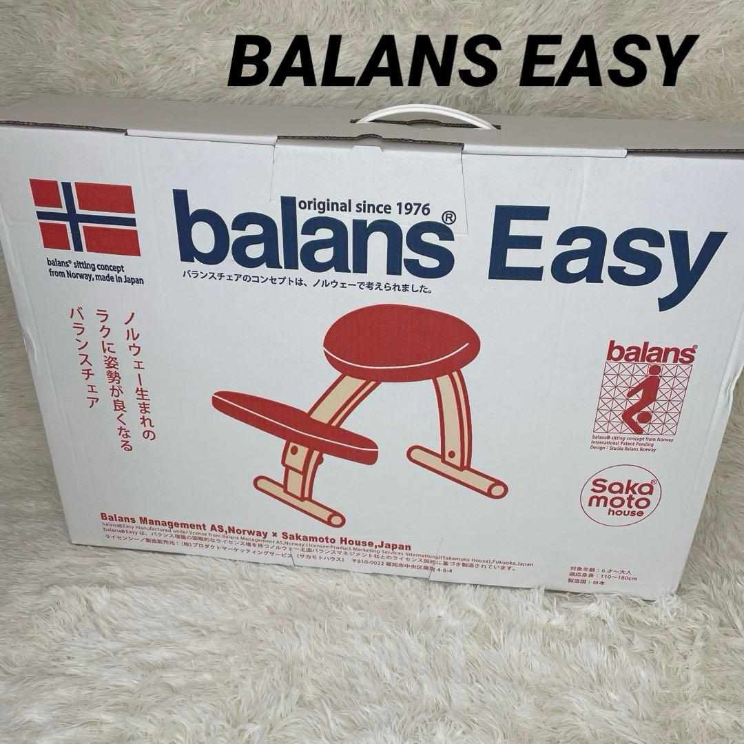 Rybo サカモトハウス リボ社 バランスイージー 姿勢矯正チェア