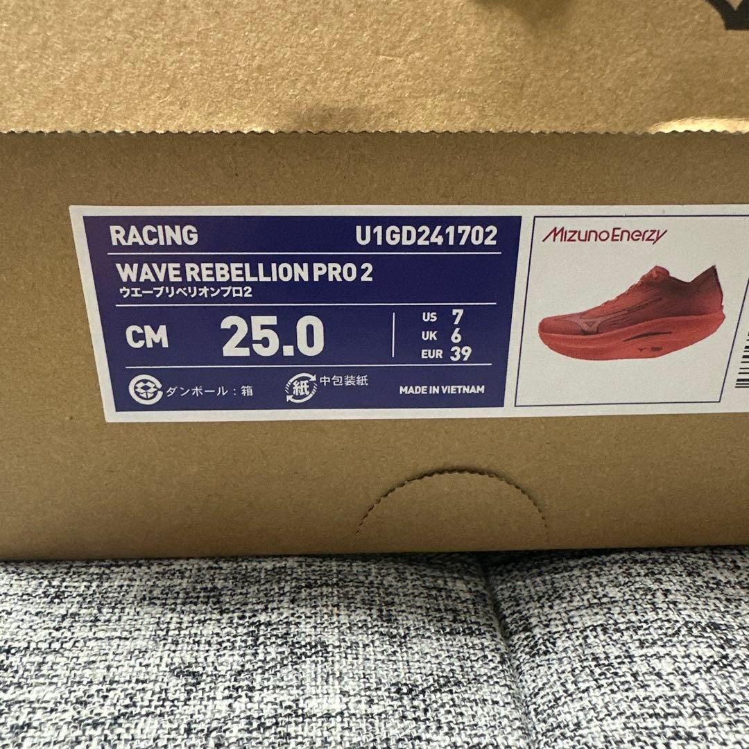カピバラさん専用 【美品】ミズノ ウェーブリベリオン プロ2