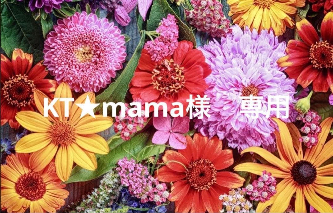 KT★mama