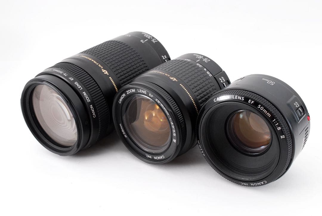 Canon EOS Kiss X10i標準&望遠&単焦点トリプルレンズセット