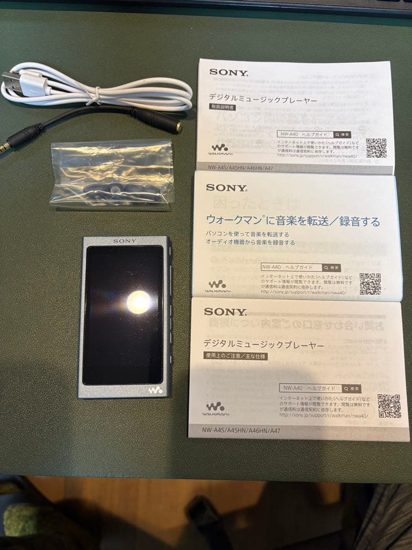 ソニーウォークマン Aシリーズ 16GB NW-A45：ポータルブルー