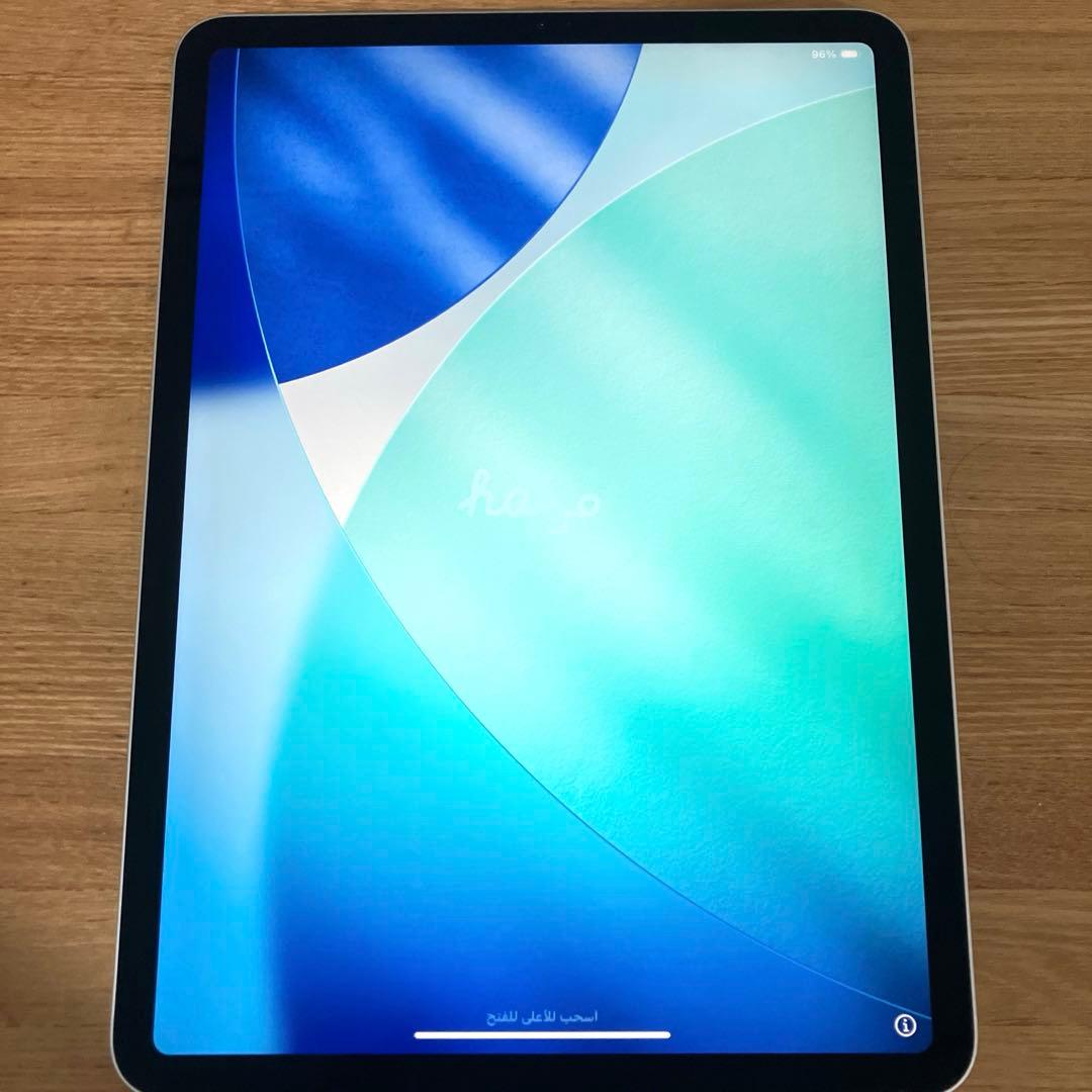 iPad Pro 11インチ (第1世代) 256GB