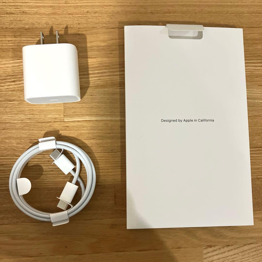 iPad Pro 11インチ (第1世代) 256GB