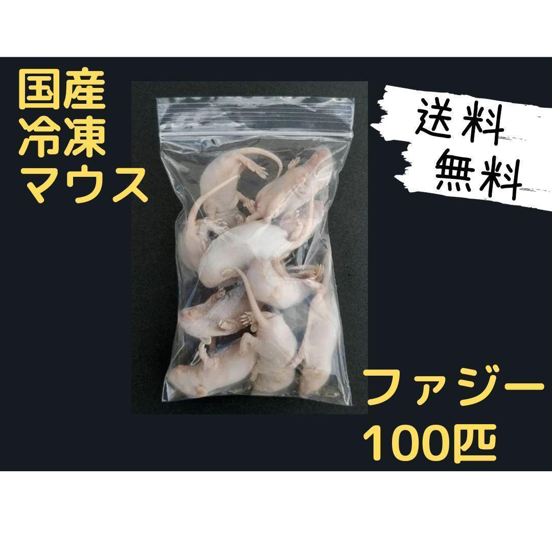 国産冷凍マウス ファジー 100匹 (送料無料一部地域発送不可)