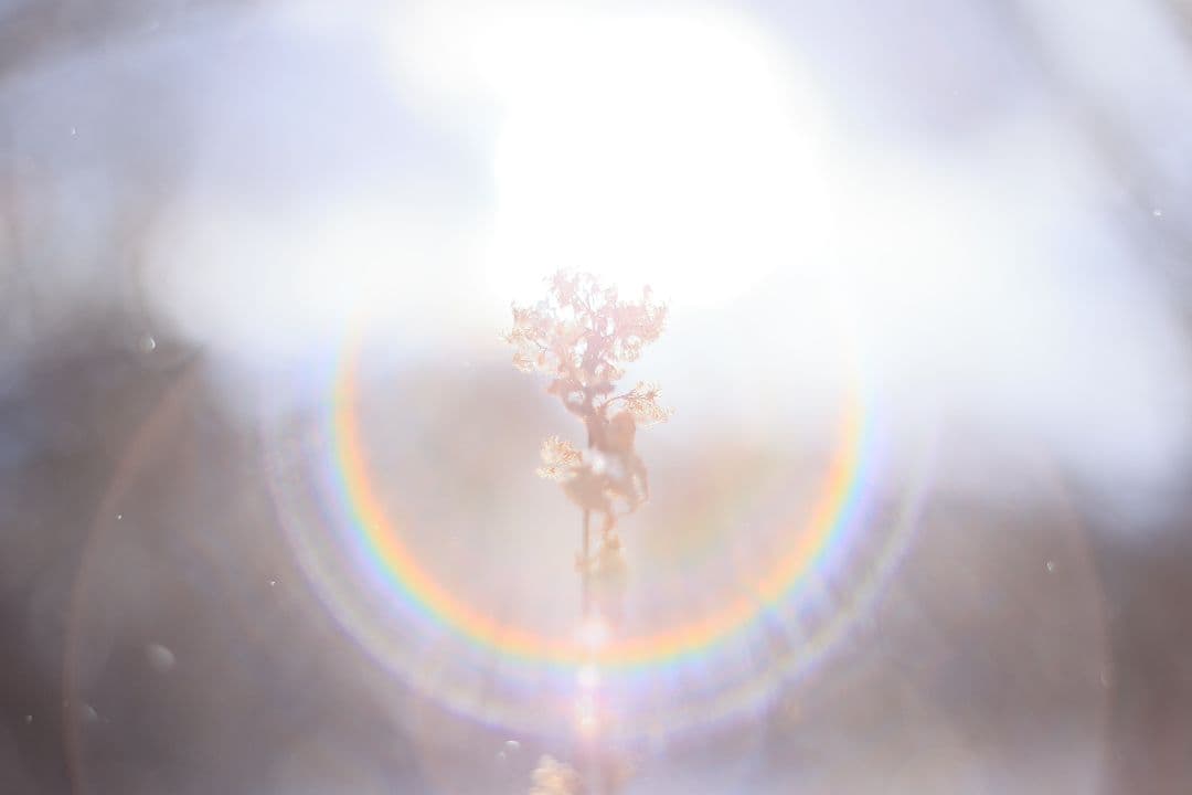 Super-Takumar 55mm F1.8 前期型 S/N：1252818