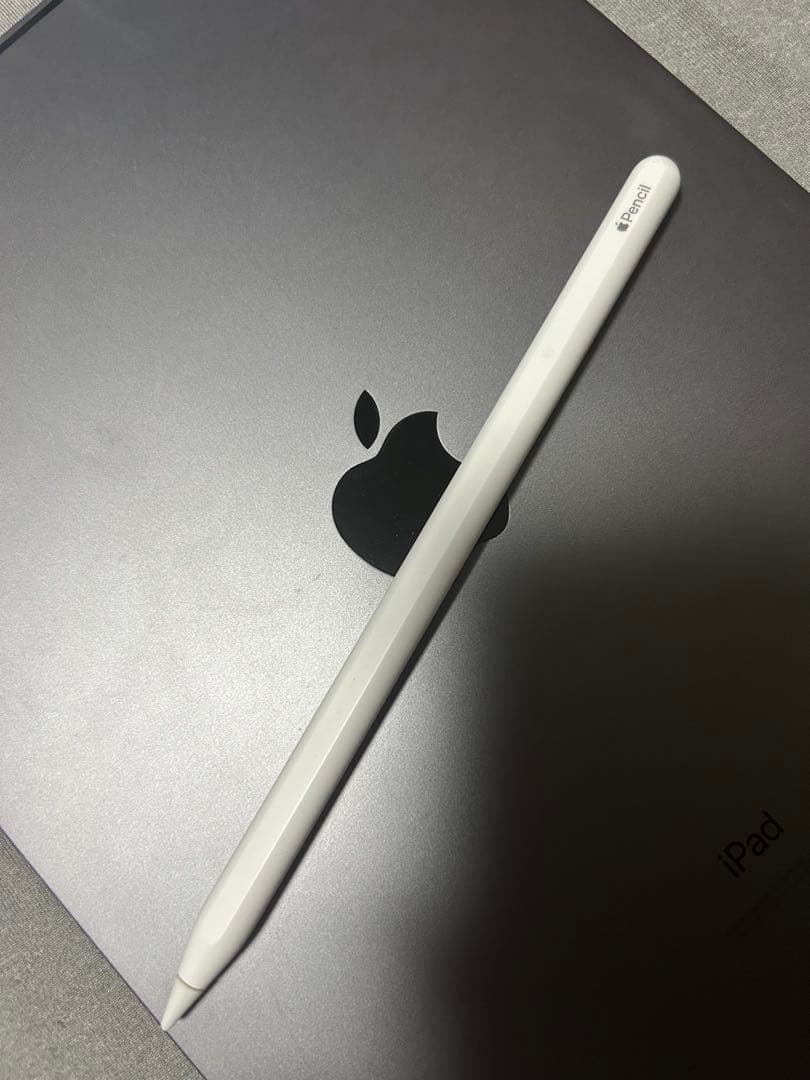 iPad Pro 11インチ　第2世代　128GB WiFi Pencil付き