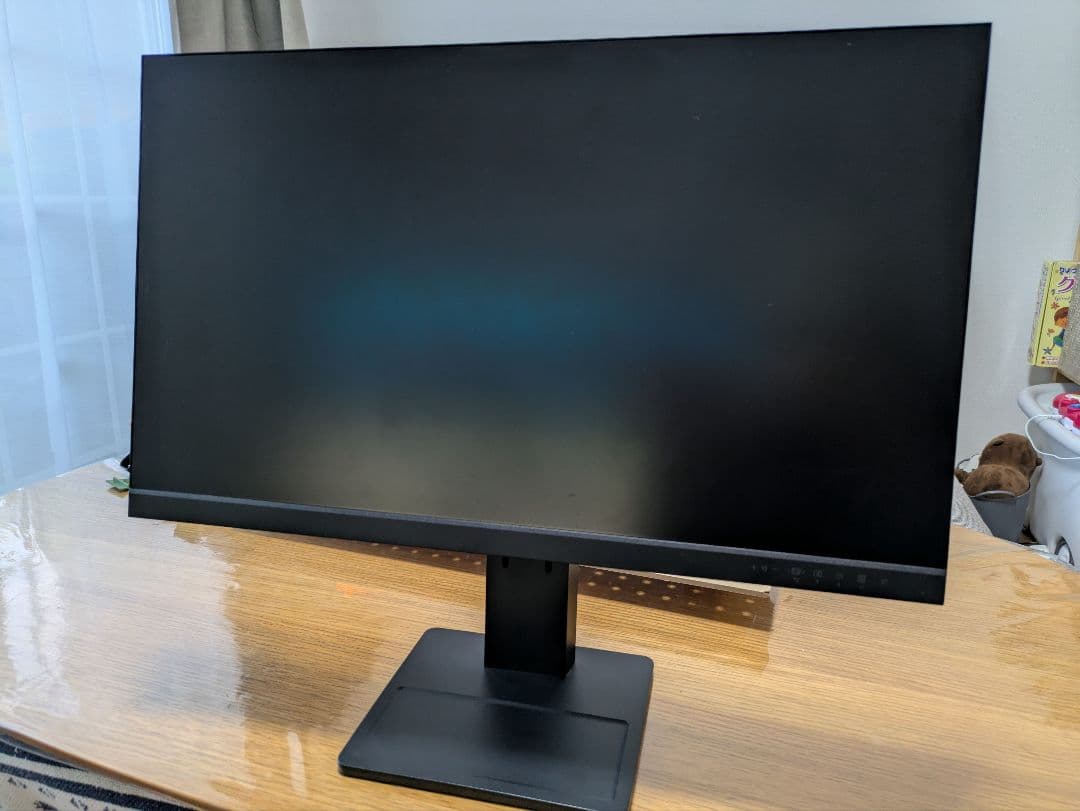 Lenovo ThinkVision E24-28 ブラック モニター 本体