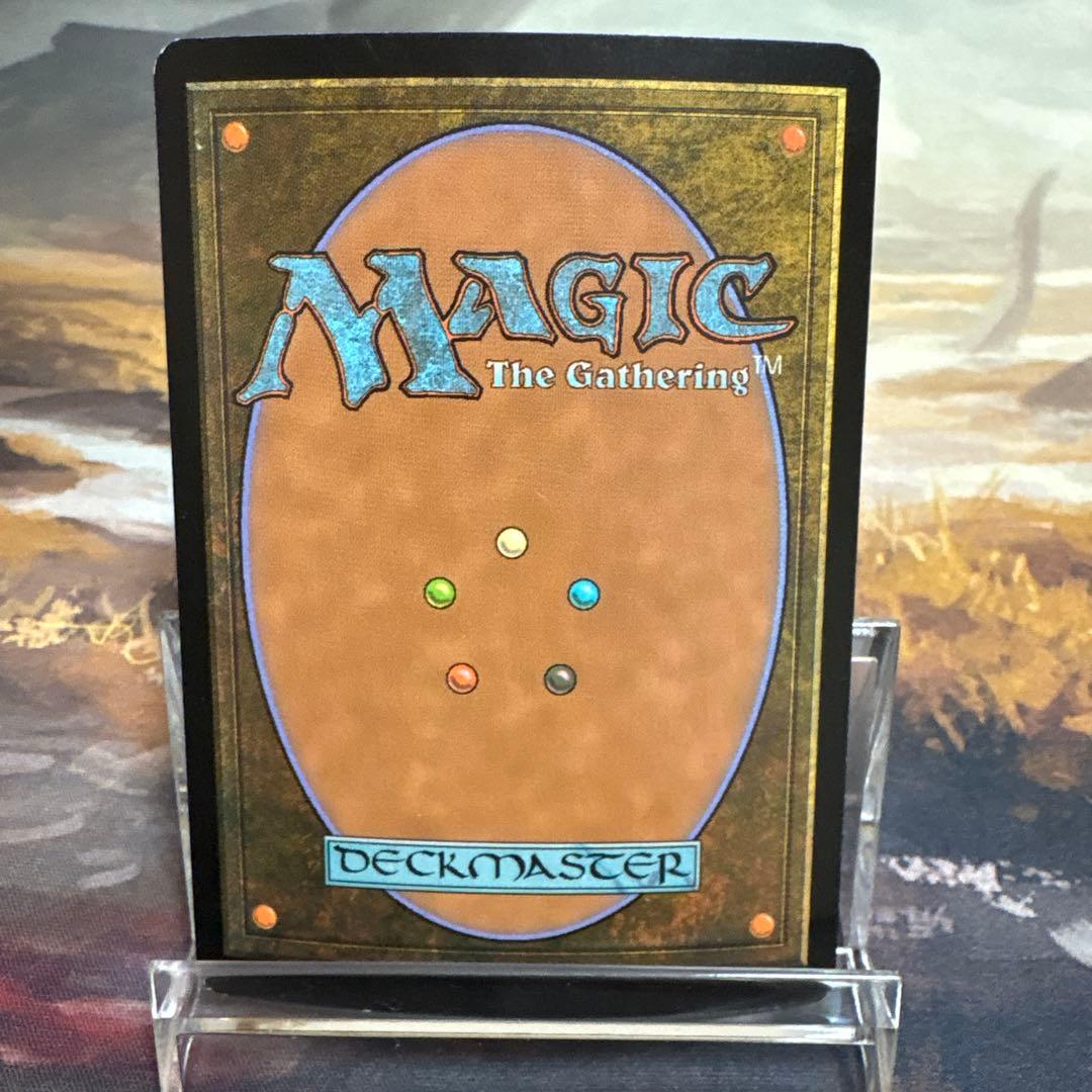 垣間見る自然 日本語 Foil