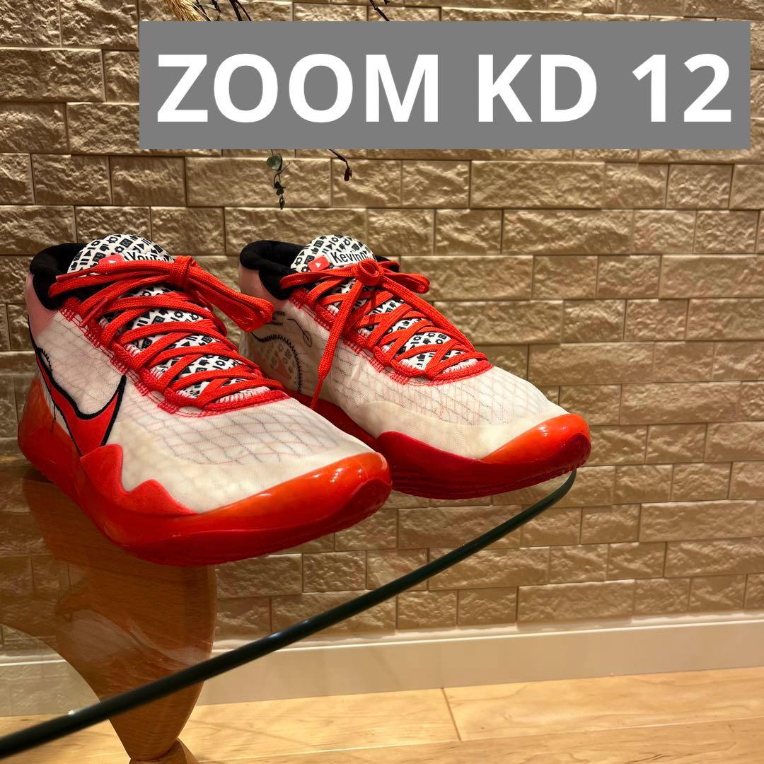 希少　NIKE ZOOM KD 12 QS EP size 29