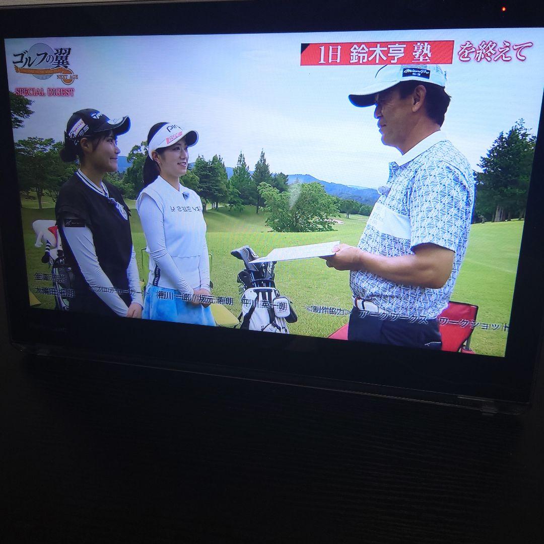 Panasonic プライベート・ビエラ UN-15T7