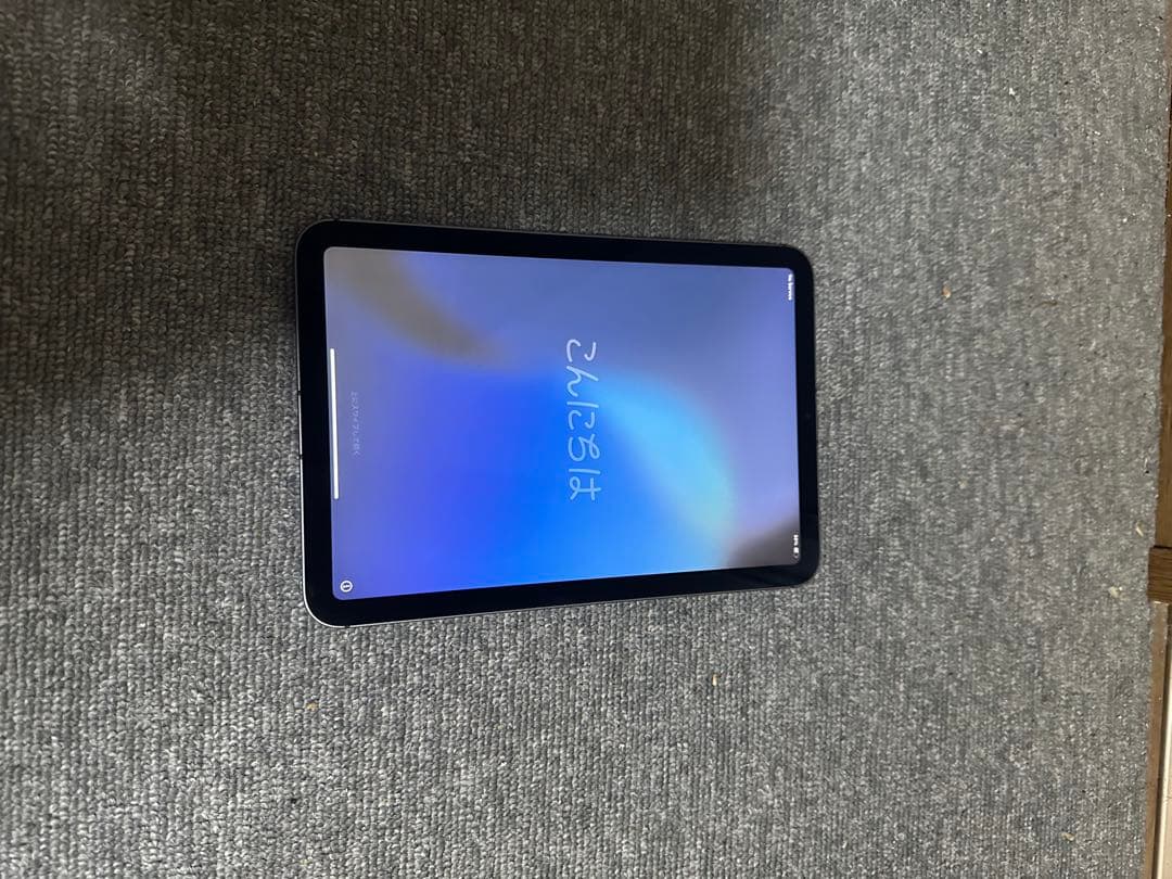 iPad mini (第6世代) wifi + cellular 256GB