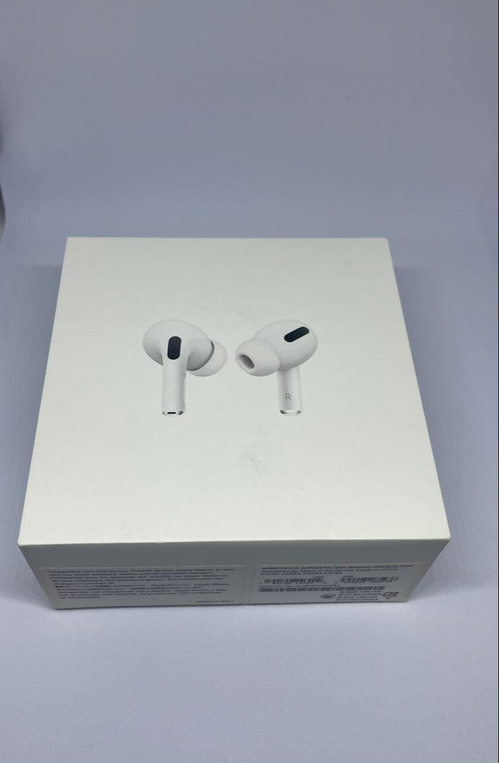 AirPods Pro（第1世代／MagSafe非対応モデル)