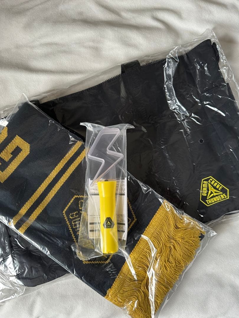 群馬クレインサンダーズ2点セット（ライト無し）