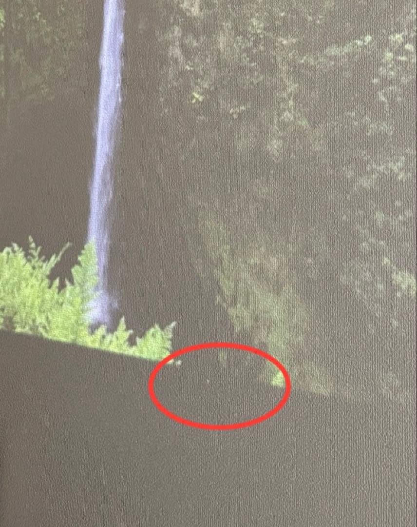 ポップインアラジン2 popIn Aladdin 2