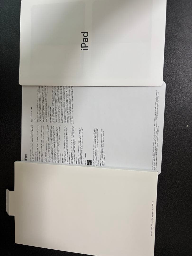 Apple iPad A１６Wi-Fiモデル