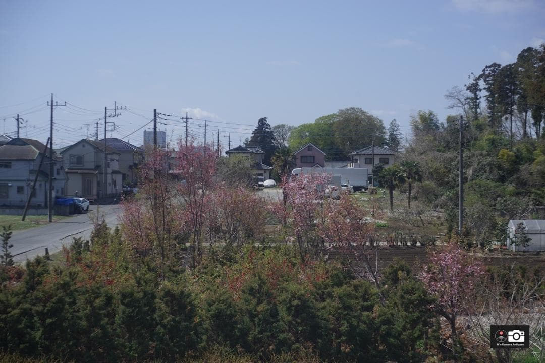 希少Tokyo Opt C Simlar 5cm F/3.5 Ｌ３９レンズ整備済