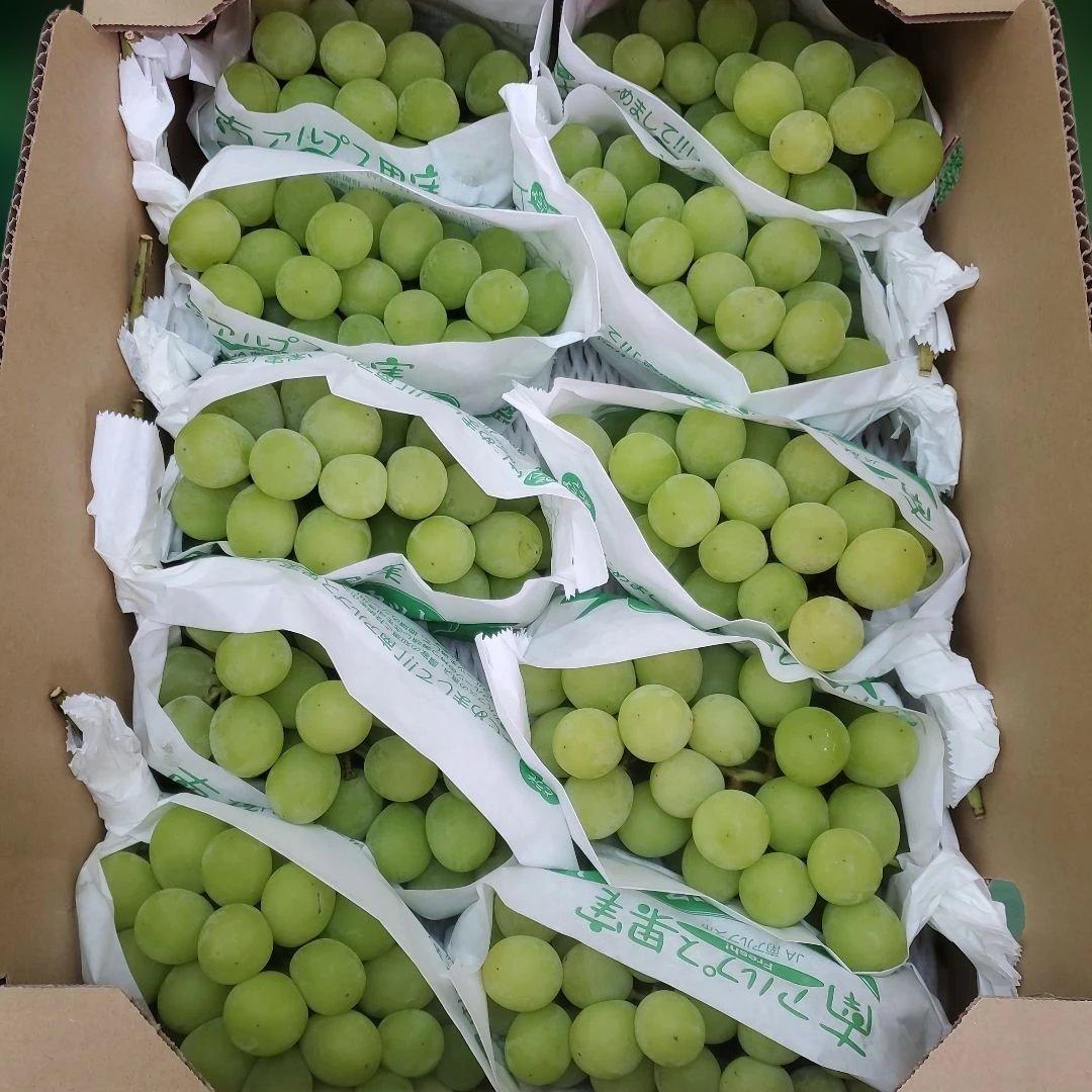 5️⃣ 山梨県産 シャインマスカット １０房入り 箱込み5.6キロ