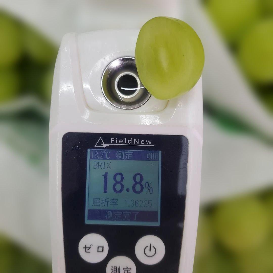 5️⃣ 山梨県産 シャインマスカット １０房入り 箱込み5.6キロ