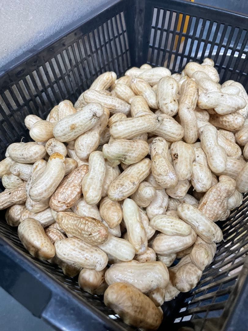 【ともさん専用】