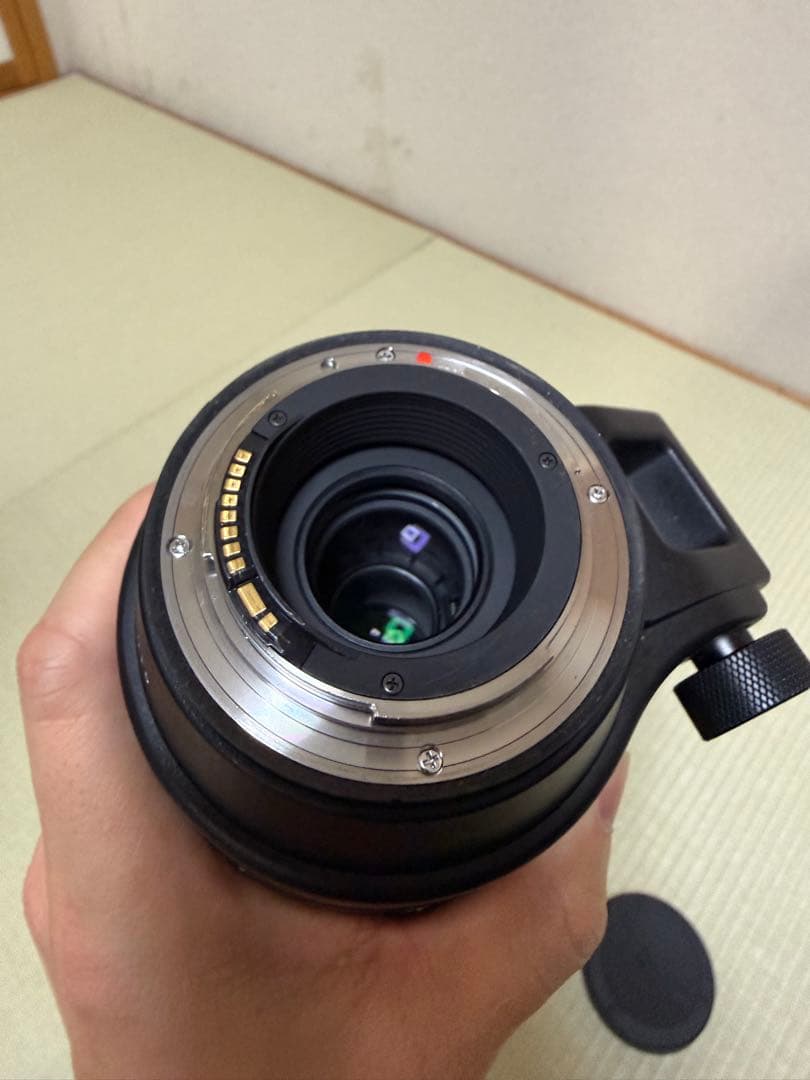 シグマ 150-600mm F5-6.3 Contemporary Canon