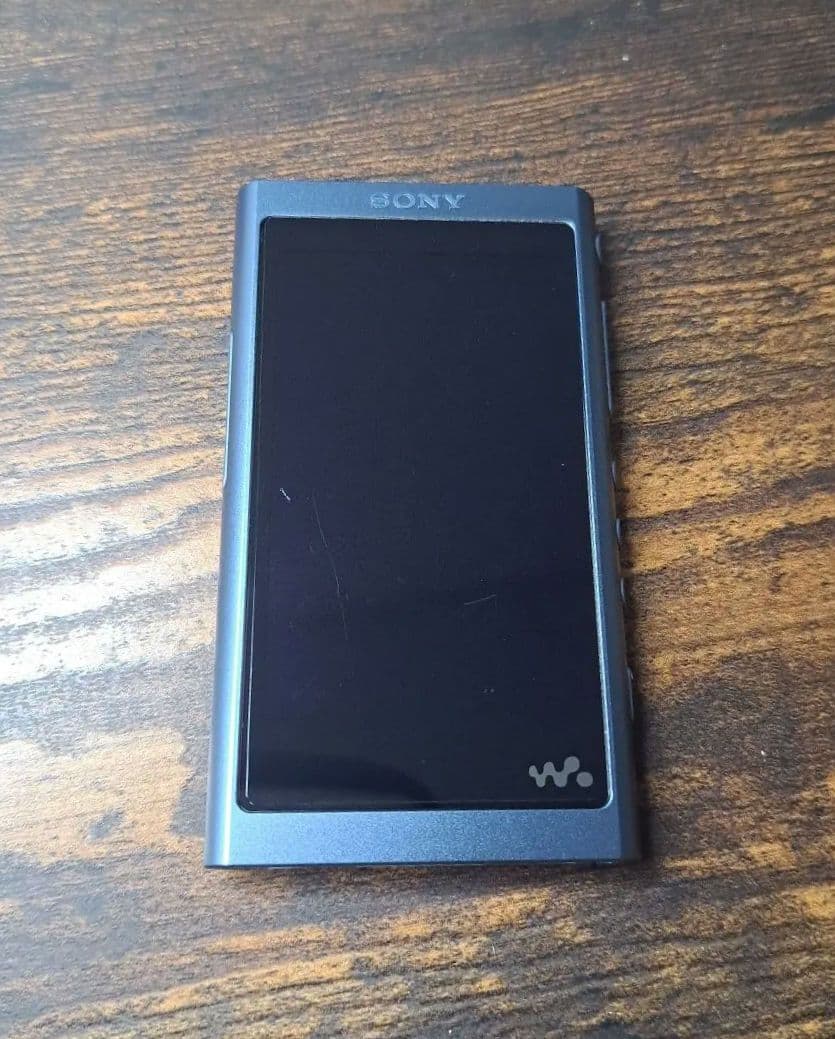 [動作確認済][本体美品]SONY WALKMAN NW-A55 16GB