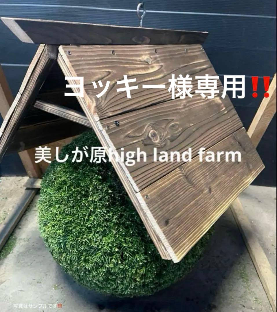 杉玉　約40センチ屋根付き‼️お客様ご注文品♪