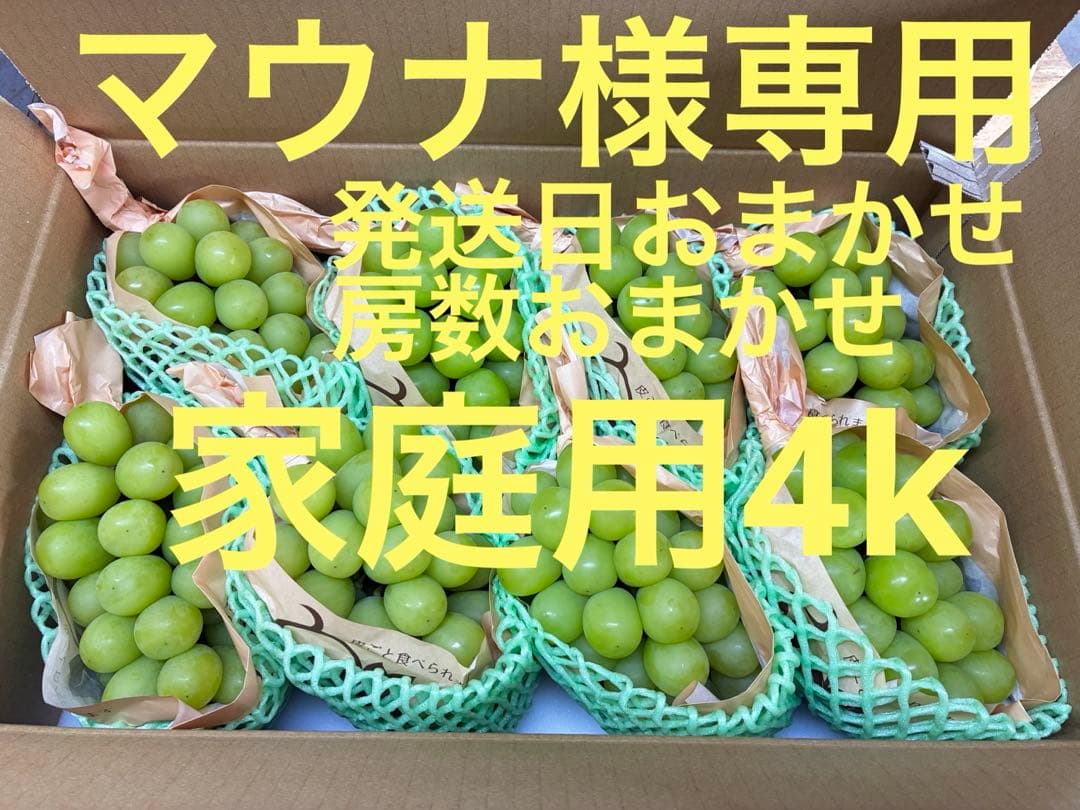 ★マウナ★発送日、房数おまかせ朝採りシャインマスカット4k※ご家庭用